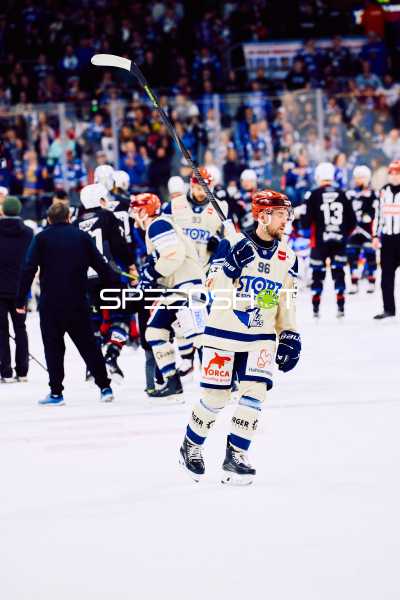 Adler Mannheim vs Schwenninger Wild Wings | 19.01.2024