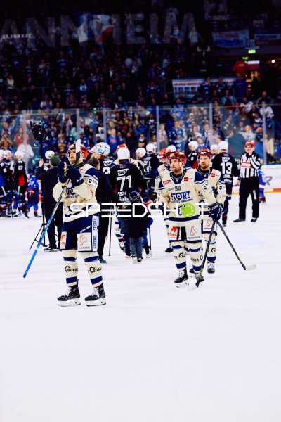 Adler Mannheim vs Schwenninger Wild Wings | 19.01.2024