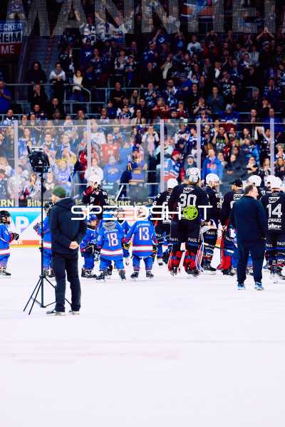 Adler Mannheim vs Schwenninger Wild Wings | 19.01.2024