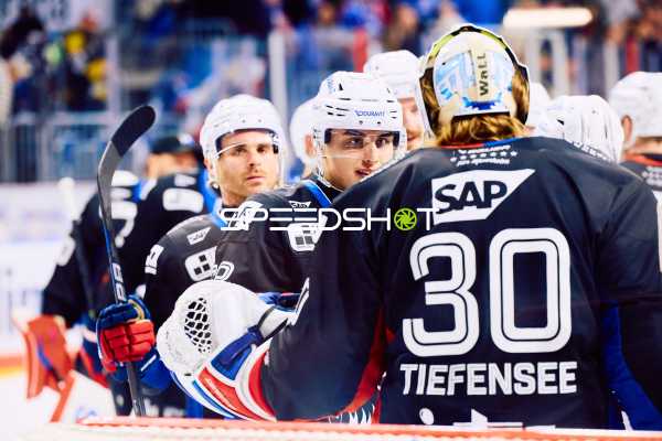 Adler Mannheim vs Schwenninger Wild Wings | 19.01.2024
