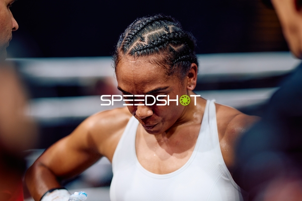 Boxerin in Ringside Zone