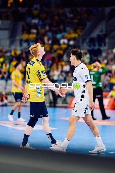 Handshake zwischen Spielern der Rhein-Neckar Löwen und TBV Lemgo