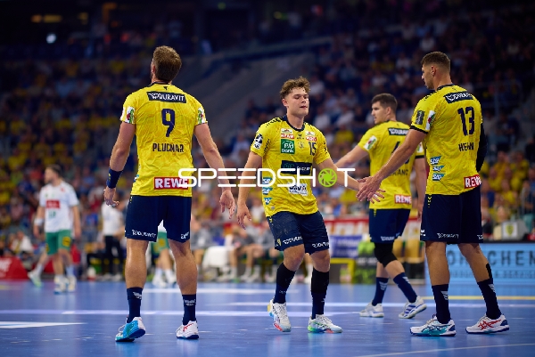 Rhein Neckar Löwen in Aktion