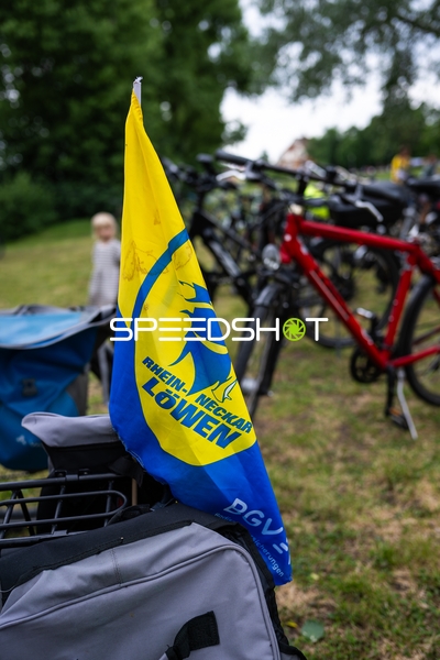 Fan-Flagge von Rhein Neckar Löwen