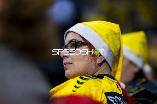 Fan-Szene in der SAP Arena