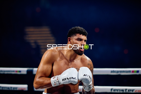 Boxer Schwergewicht in Aktion