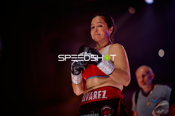 Boxerin in Ringside Zone