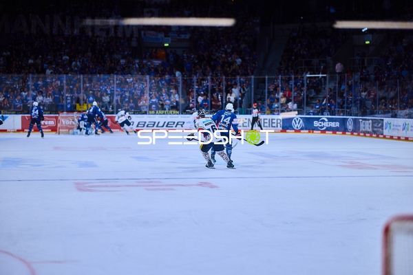 Adler Mannheim in der Verteidigung gegen Eisbären Berlin