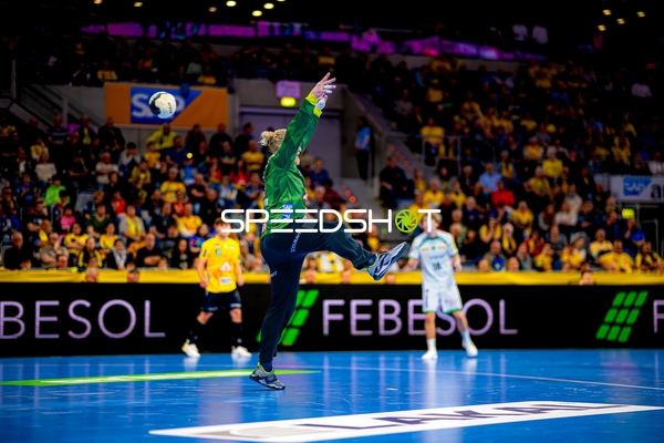 Handball I Herren I Saison 2024-2025 I Daikin HBL I 27. Spieltag I Rhein-Neckar Löwen - DHfK Leipzig I 24.04.2025