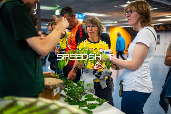 Handball Halle Impression
