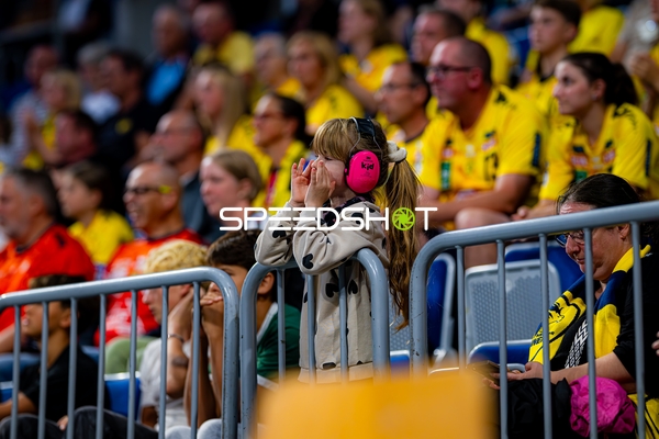 Fans der Rhein Neckar Löwen