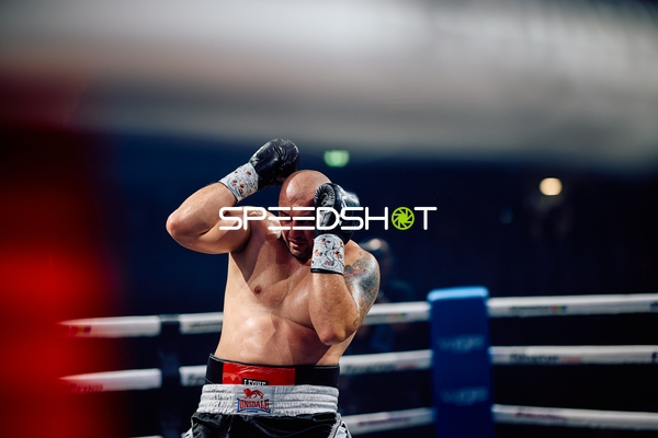 Boxer in Ringside Zone