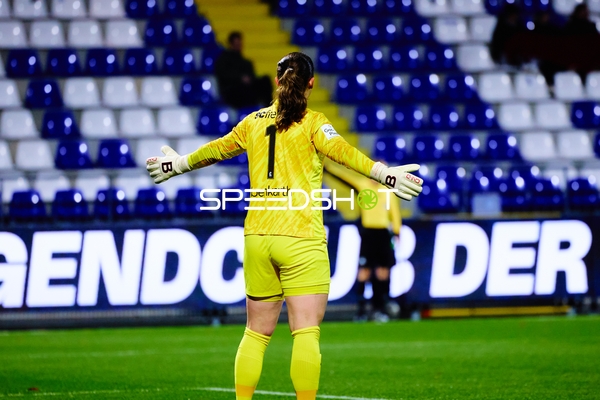 Torwart in Defensive