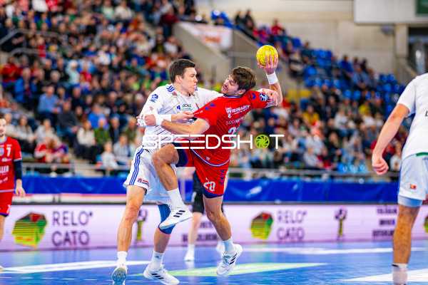 Handball I Herren I Saison 2024-2025 I Daikin Handballbundesliga I 15. Spieltag I SG BBM Bietigheim - Handball Sportverein Hamburg I 14.12.2024
