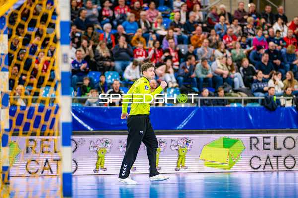 Handball I Herren I Saison 2024-2025 I Daikin Handballbundesliga I 15. Spieltag I SG BBM Bietigheim - Handball Sportverein Hamburg I 14.12.2024