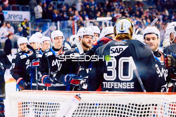 Adler Mannheim vs Schwenninger Wild Wings | 19.01.2024