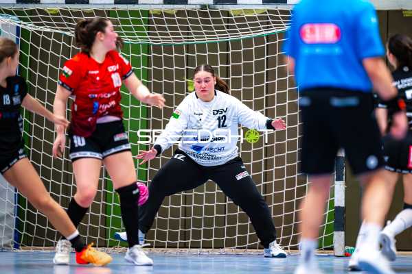 Handball I Frauen I Saison 2024-2025 I Testspiel I SG Schozach-Bottwartal - SSV Dornbirn Schoren I 04.01.2024