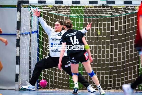 Handball I Frauen I Saison 2024-2025 I Testspiel I SG Schozach-Bottwartal - SSV Dornbirn Schoren I 04.01.2024