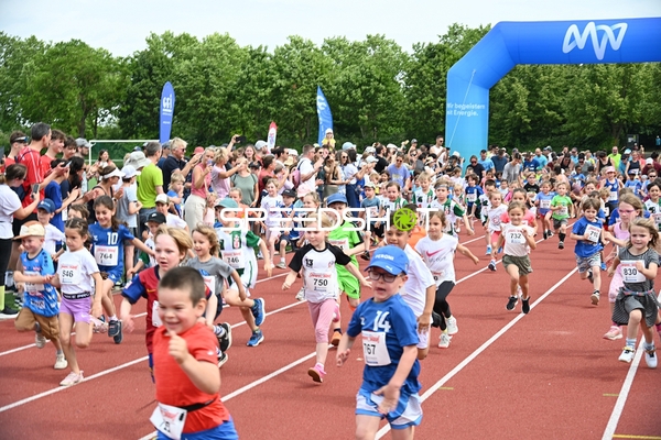 TVE Sommerlauf Edingen 2025 Start