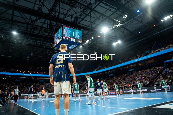 Handball-Szene in Hamburg