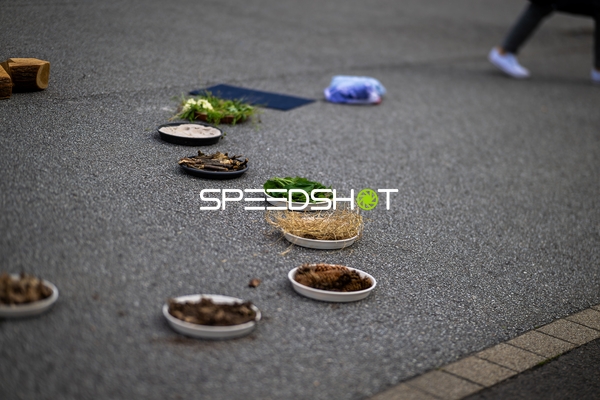 Spielfeldszene ohne Aktion