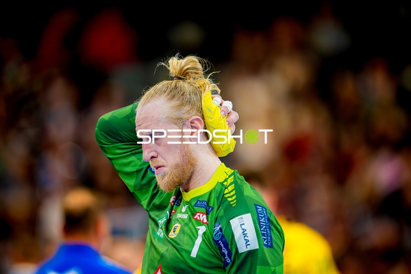 Mikael Appelgren (1;Rhein Neckar Löwen)