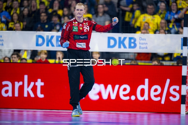 Parade von David Späth (29; Rhein Neckar Löwen)