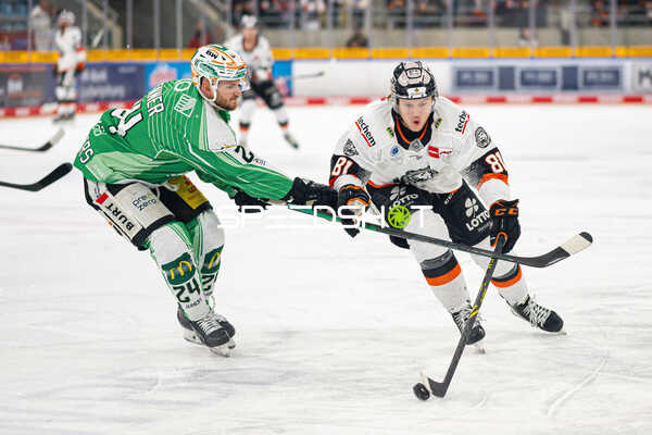 Eishockey I Herren I Saison 2022-2023 I Penny DEL I 47. Spieltag I SC Bietigheim-Bissingen Steelers - Löwen Frankfurt I 27.01.2023