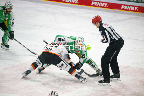 Eishockey I Herren I Saison 2022-2023 I Penny DEL I 47. Spieltag I SC Bietigheim-Bissingen Steelers - Löwen Frankfurt I 27.01.2023