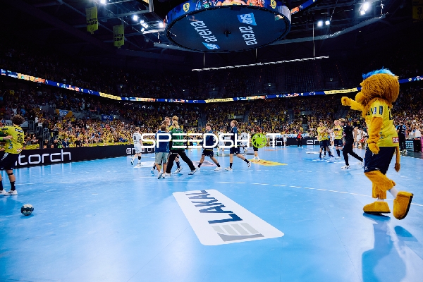 Spieler jubeln auf dem Spielfeld.