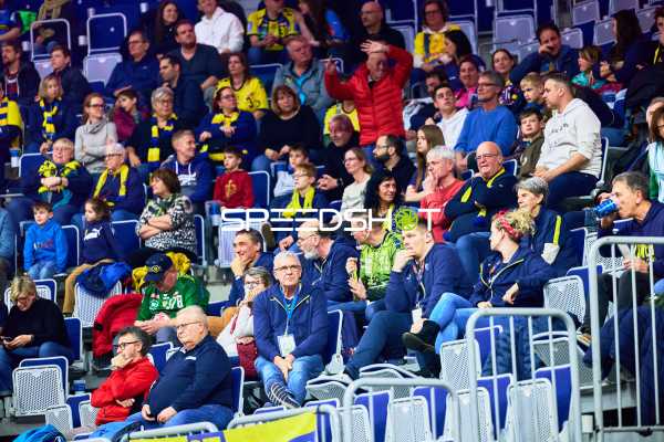 Rhein Neckar Löwen vs SG BBM Bietigheim - SAP Arena - HBL - 13.02.2025 - 19:00 Uhr