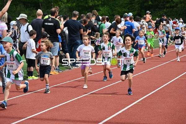TVE Sommerlauf Edingen 2025