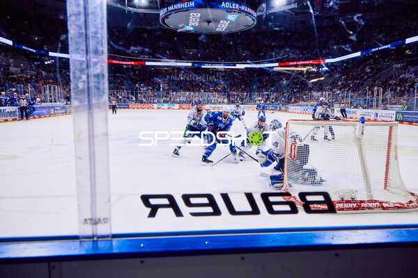 Adler Mannheim vs Straubing Tigers 14:00 Uhr