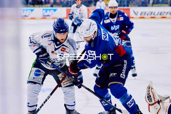 Adler Mannheim vs Straubing Tigers 14:00 Uhr
