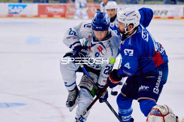 Adler Mannheim vs Straubing Tigers 14:00 Uhr