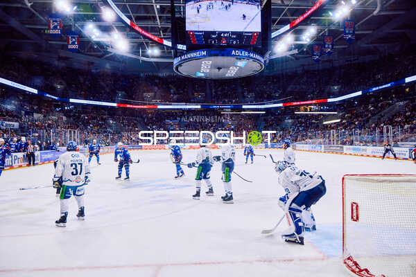 Adler Mannheim vs Straubing Tigers 14:00 Uhr