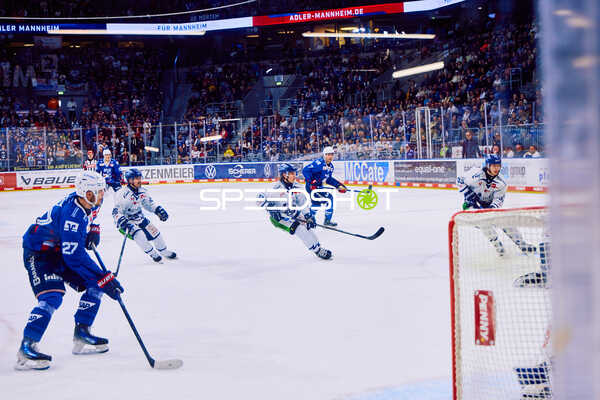Adler Mannheim vs Straubing Tigers 14:00 Uhr