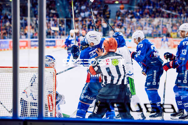 Adler Mannheim vs Straubing Tigers 14:00 Uhr