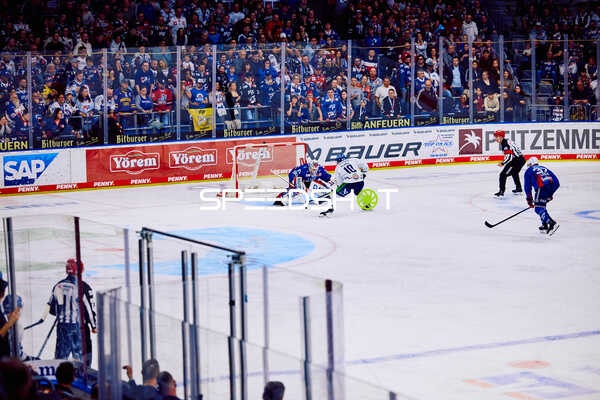 Adler Mannheim vs Straubing Tigers 14:00 Uhr