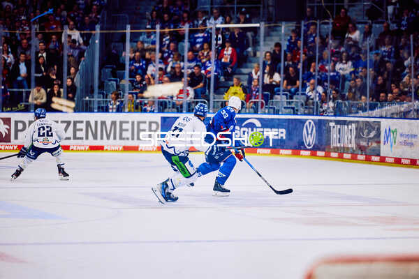 Adler Mannheim vs Straubing Tigers 14:00 Uhr