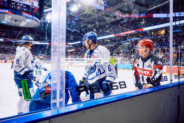 Adler Mannheim vs Straubing Tigers 14:00 Uhr
