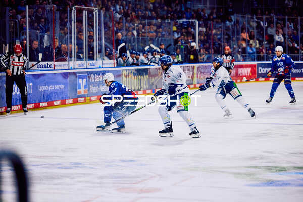 Adler Mannheim vs Straubing Tigers 14:00 Uhr