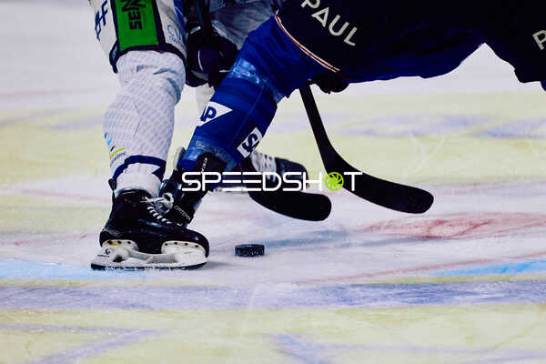 Adler Mannheim vs Straubing Tigers 14:00 Uhr