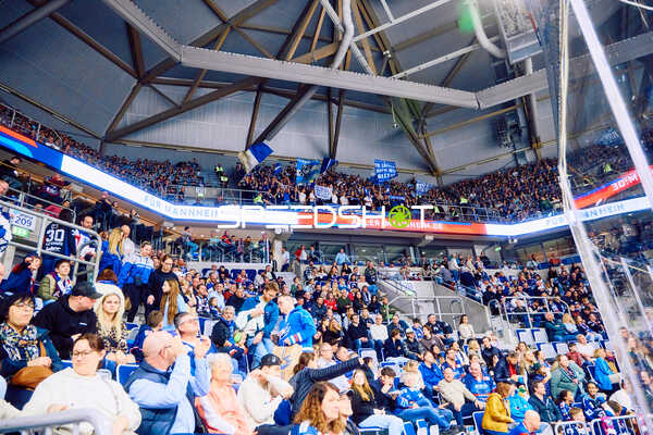 Adler Mannheim vs Straubing Tigers 14:00 Uhr