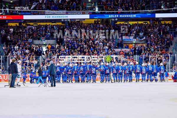 Adler Mannheim vs Straubing Tigers 14:00 Uhr