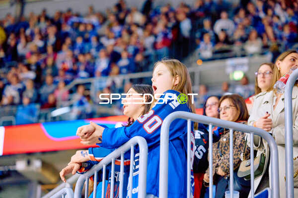 Adler Mannheim vs Straubing Tigers 14:00 Uhr