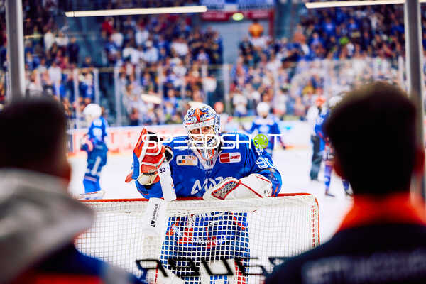 Adler Mannheim vs Straubing Tigers 14:00 Uhr