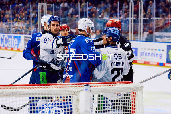 Adler Mannheim vs Straubing Tigers 14:00 Uhr