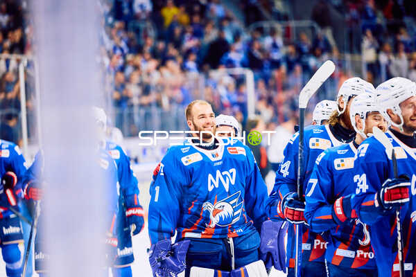 Adler Mannheim vs Straubing Tigers 14:00 Uhr