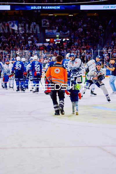 Adler Mannheim vs Straubing Tigers 14:00 Uhr